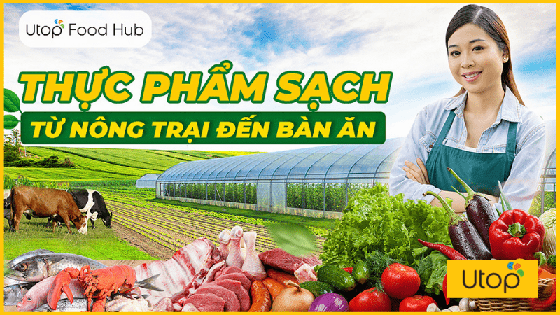 Mua Đồ Ăn tươi sống online, hướng dẫn chi tiết và lợi Ích